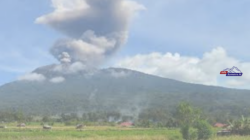 Erupsi 34 Detik, Marapi Semburkan Abu Setinggi 600 Meter, Warga Diminta Jauhi Radius 3 Kilo Meter