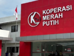 Pendaftaran SPPI Dibuka, 30.000 Sarjana Disiapkan Jadi Penggerak Pembangunan Daerah